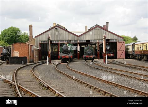 Train shed - A train-shed, for my understanding, is the same as a train station. In other words, a place where people wait for their train to arrive, entertain themselves after getting off the train, etc. A link with more detail is